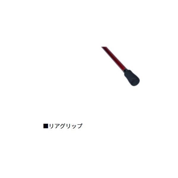 21BJイカダ AIR